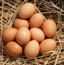 تازه ترین تخم مرغ باکیفیت
